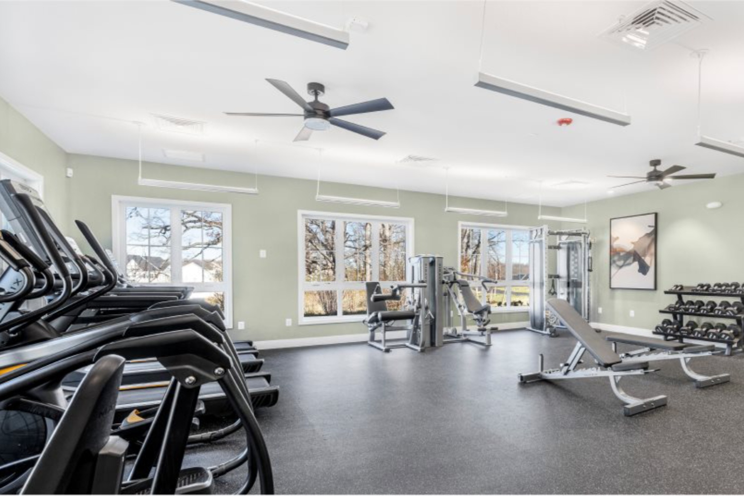 Modern gym with cardio machines, weights, and large windows for natural light.