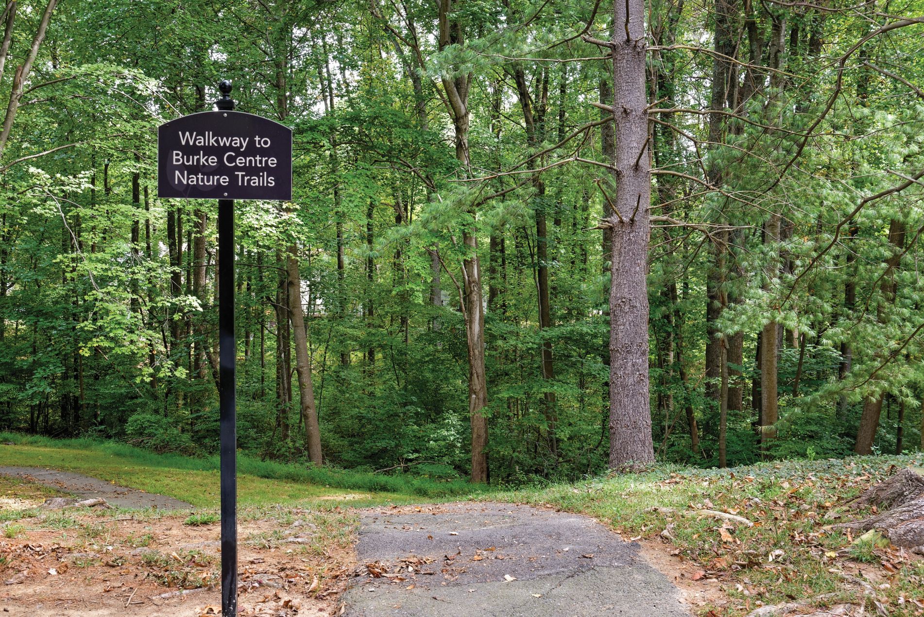 BurkeShireCommons_Neighborhood_BurkeTrails_Sept15