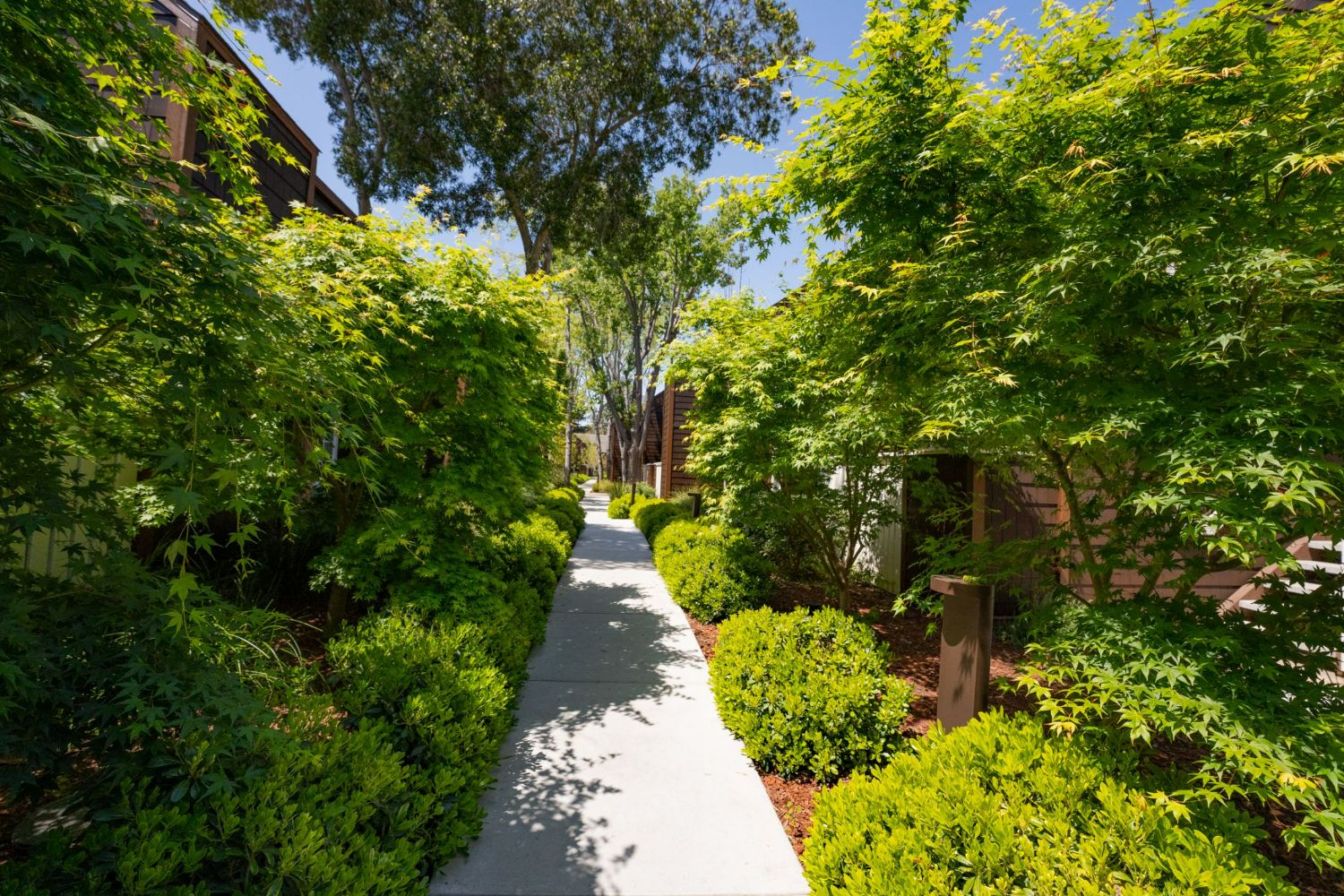 Walkway