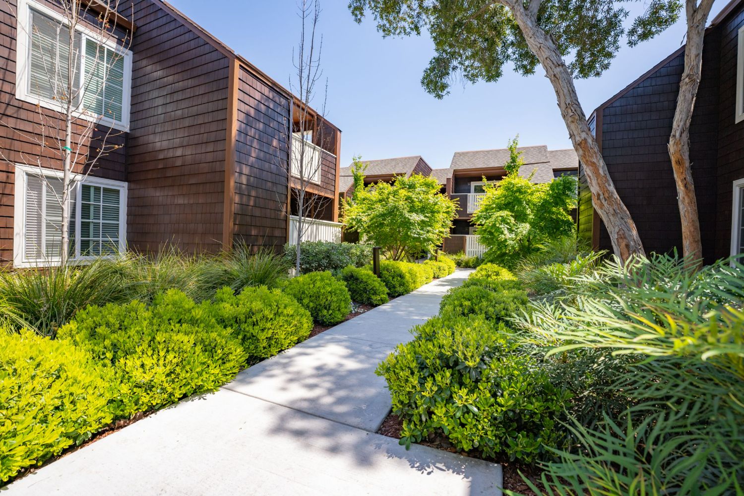 Walkway