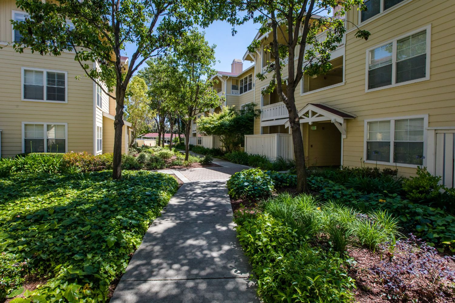 Community Walkway