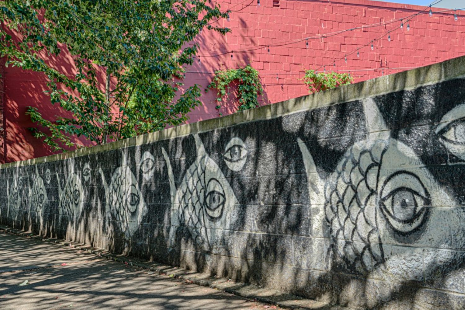 Mural of fish eyes on a wall with a red background.