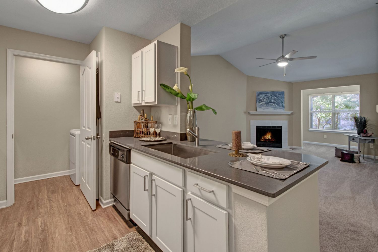 Kitchen and Living