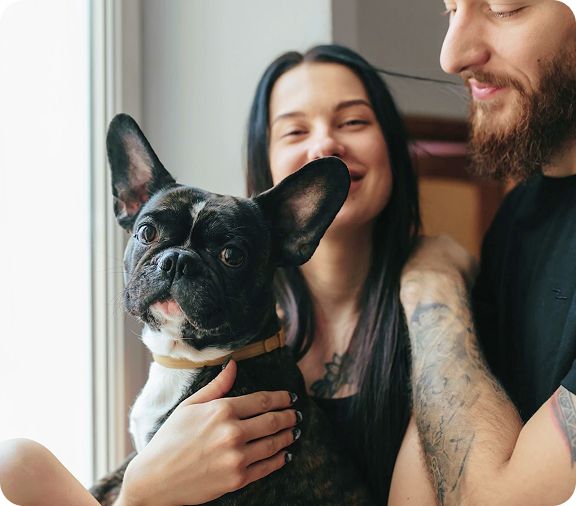 A smiling couple holds a French Bulldog by a window.